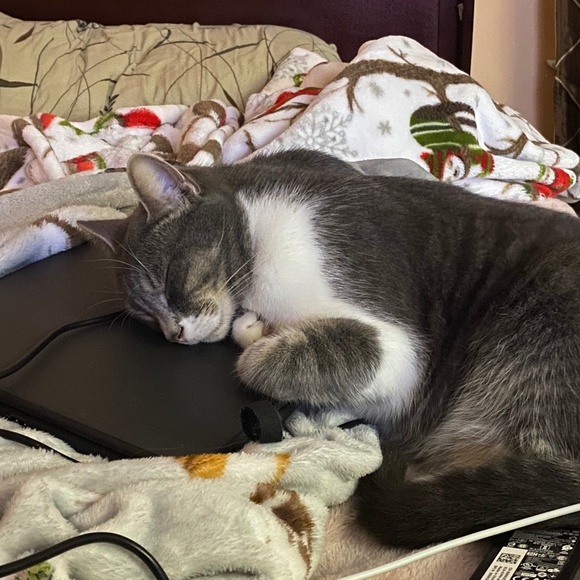 Meet your Posher, Meli! - Picture 5 of 13